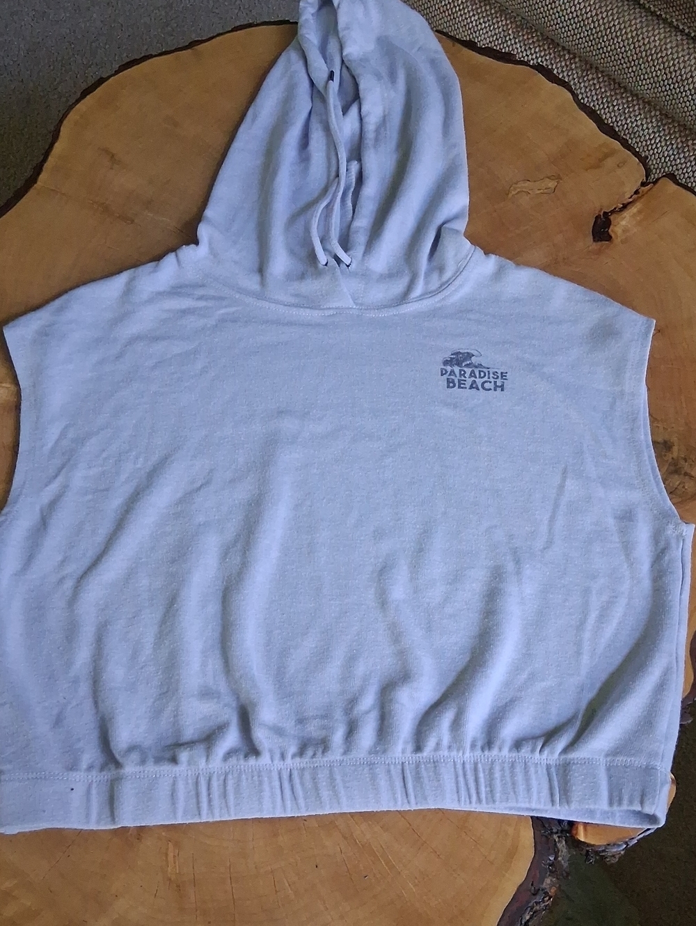 Pink Rose Pale Blue Sleeveless Hooded Crop Sweatshirt